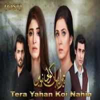 Tera Yahan Koi Nahin (From "Tera Yahan Koi Nahin") Samra Khan,Atif Ali Song Download Mp3