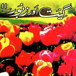Jehra Rab Si Afshan Song Download Mp3
