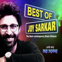 Best Of Joy Sarkar - The Best Contemporary Music Director songs mp3