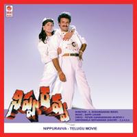 Nippu Ravva songs mp3