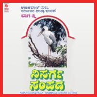 Nisarga Sampada R. Udayadri Song Download Mp3