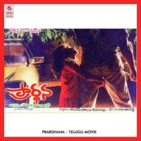 Yada Nattintanu S.P. Balasubrahmanyam,S. Janaki Song Download Mp3