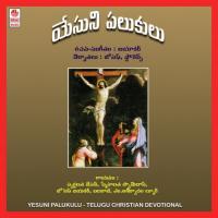 Yesuni Palukulu songs mp3