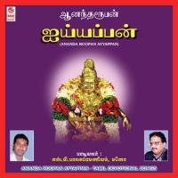 Shabari Malaiyile S.P. Balasubrahmanyam Song Download Mp3