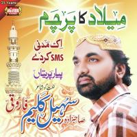 Meelad Ka Parcham Sohail Kaleem Farooqi Song Download Mp3