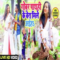 Gobar Pathahi Ke Bera Mile Aiha Kavita Yadav Song Download Mp3