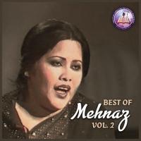 Best of Mehnaz, Vol. 2 songs mp3