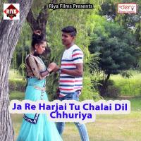 Ja Re Harjai Tu Chalai Dil Chhuriya Pravesh Pancholi Song Download Mp3