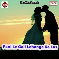 Navdin Ke Nehiya Lagawlu Re Maai Vijay Anmol Song Download Mp3