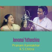 Jeevamai Yethenchina (feat. K S Chitra) Pranam Kamlakhar,K. S. Chithra Song Download Mp3