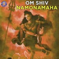 Rudra Chamakam Vighnesh Ghanapaathi,Gurumurthi Bhat,Shridhara Bhat (Vedadhara) Song Download Mp3