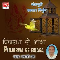 Pinjarwa Se Bhaga songs mp3