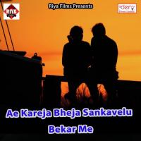 Bhail Bewafa Jaanam Sonu Raj Song Download Mp3