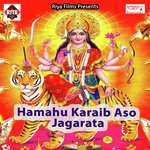 Mai Sherwa Chadhi Ke Aa Jaiti Vikash Vaibhav Song Download Mp3