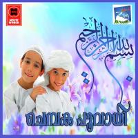 Twayiba Aflah Malappuram Song Download Mp3