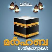 Akuttyum Eduthu Peer Mohammed Song Download Mp3