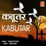 Tum Kese Bhul Gaye Nagma Nizami Song Download Mp3