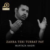 Zahra Teri Turbat Pay Murtaza Nagri Song Download Mp3