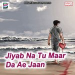 Jiyab Na Tu Maar da Ae Jaan songs mp3