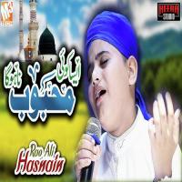 Aisa Koi Mehboob Na Hoga Rao Ali Hasnain Song Download Mp3