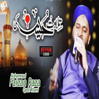 Amanat Hussain Ki Muhammad Faizan Raza Qadri Khani Song Download Mp3