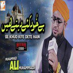 Be Khud Kiye Dete Hain Muhammad Ali Muhammadi Song Download Mp3
