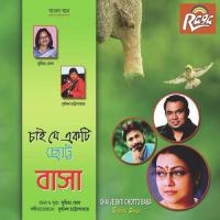 Bristi Amay Bhijiye Dao Madhumanabi Song Download Mp3