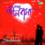 Ek Baishakhe Dekha Holo Dujanay (From "Bilambita Loy") Arati Mukherjee Song Download Mp3