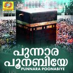 Aminathan Poomakanay Suhail Song Download Mp3
