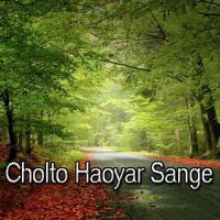 Cholto Haoyar Sange songs mp3