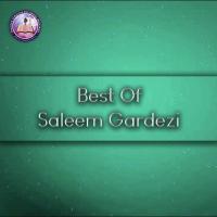 Best of Saleem Gardezi songs mp3