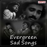 Best Of Evergreen Sad Songs songs mp3