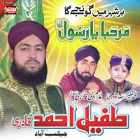 Yeh Bazm E Kainat Jo Tufail Ahmed Qadri Song Download Mp3