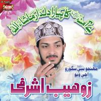 Main Naukar Ghazi Da Zohaib Ashrafi Song Download Mp3