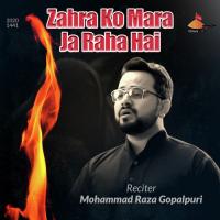Zahra Ko Mara Ja Raha Hai Mohammad Raza Gopalpuri,Abid Raza Naushad Song Download Mp3