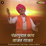 Pandharpurat Kay Vajat Gajat Akshay S Mhatre Song Download Mp3