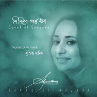 Aami Jar Nupurer Chondo Shusmita Anis Song Download Mp3