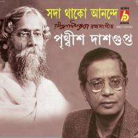 Ami Bahu Basanay Prithwis Dasgupta Song Download Mp3