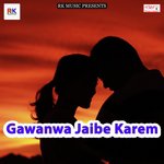 Gawanwa Jaibe Karem songs mp3