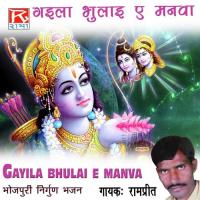 Gayila Bhulai E Manva songs mp3