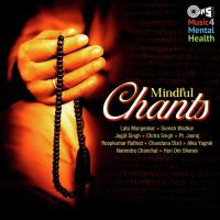 Hari Sharnam - Dhun Hari Om Sharan,Nandini Sharan Song Download Mp3