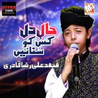 Haal E Dil Kisko Sunayen Muhammad Ali Raza Qadri Song Download Mp3