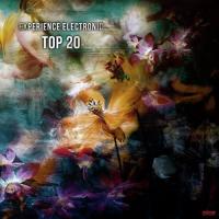 Experience Electronic Top 20 songs mp3