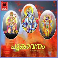 Aadhiseshasaayiyayi Unni Menon Song Download Mp3
