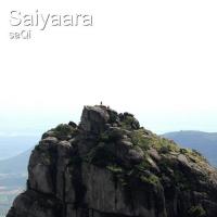 Saiyaara Saqi Song Download Mp3