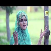 Achi Vayo Nabi Noor Waro Saliha Ali Song Download Mp3