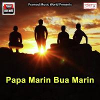 Baghwa Pe Hoi Ke Sawar Anil Kumar Song Download Mp3