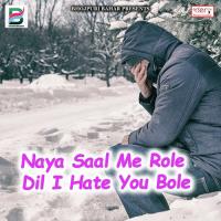 Naya Saal Me Role Dil I Hate You Bole Rahul Rajdhani Song Download Mp3