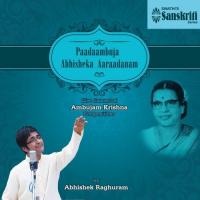 Paadaambuja Abhisheka Aaraadanam (Live Concert of Ambujam Krishna Compositions) songs mp3