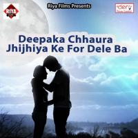 Sherawali Ke Darbar Chala Na Pintu Kumar Yadav Song Download Mp3